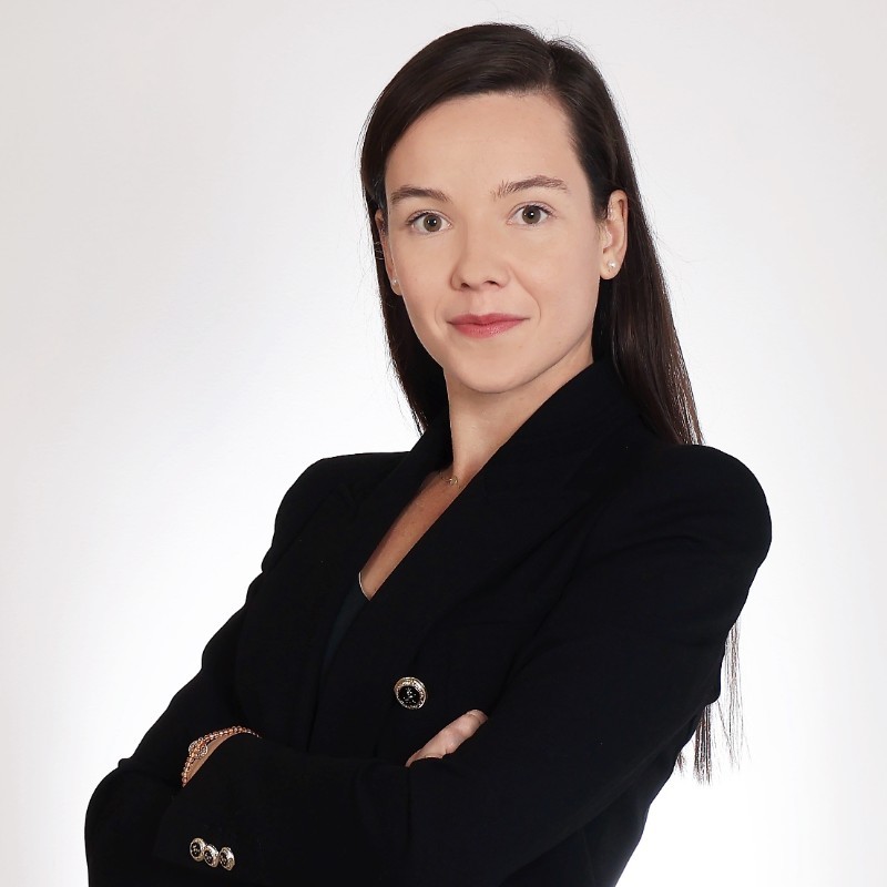 Professional lawyer